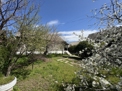 Vanzare casa bătrânească cu teren de 6 ari în Vatra! 