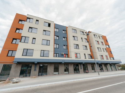 Apartament cu 1 camera cu Euroreparatie, Centru Bacioi 