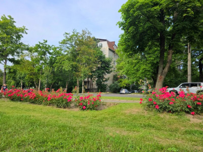 Inchiriere apartament cu 2 camere, vizavi de parcul Valea Trandafirilor!