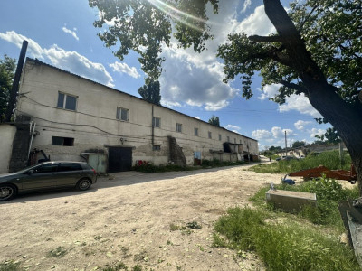 Afacere activă de vânzare în orășelul Vatra, prima linie!