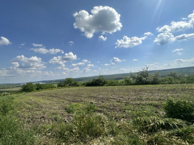 Lot de teren agricol, 38 ari! Strășeni, satul Roșcani!