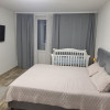 Apartament cu 1 cameră,  Botanica,  Chișinău,  Chișinău mun. thumb 8