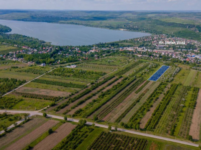 Spre vânzare teren agricol în Vatra, 30 ari. 