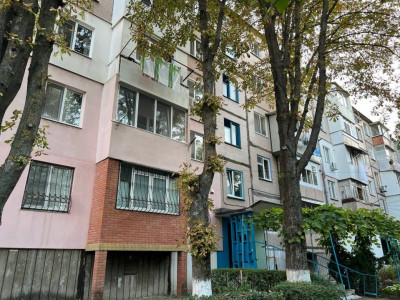 Квартира на продажу – ул. Гренобле 163/4, 49 м², серия MС.