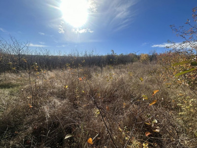 Teren pentru construcții de vânzare în Trușeni!