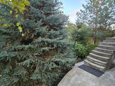 Casa ieftina de vanzare in Durlesti la prima linie de padure