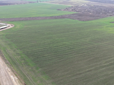 Земельный участок на продажу, сектор Ботаника, район Аэропорта.