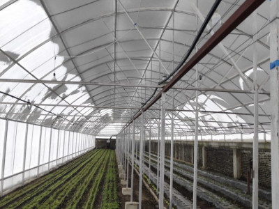 Business activ! 2 Sere din fonduri Europene!Apa/Energie/Beci/Foișor!  Urgent!